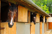 free Pontnewynydd stable construction quotes